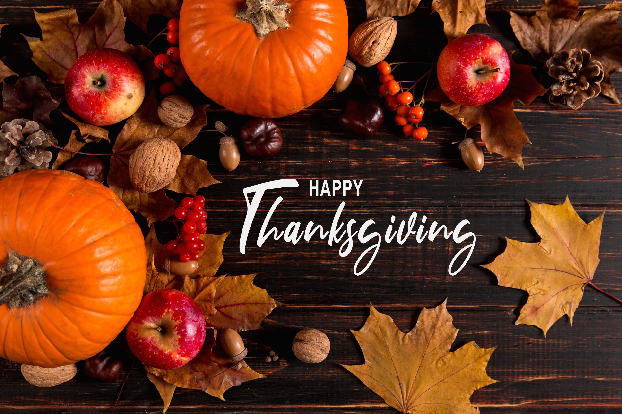 Thanksgiving Dinner
